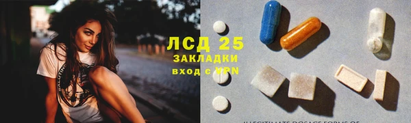 PSILOCYBIN Аркадак