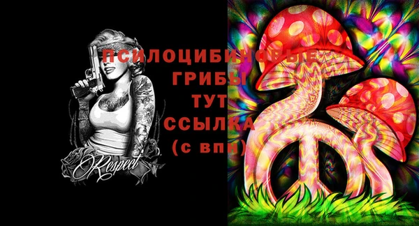 ECSTASY Богданович