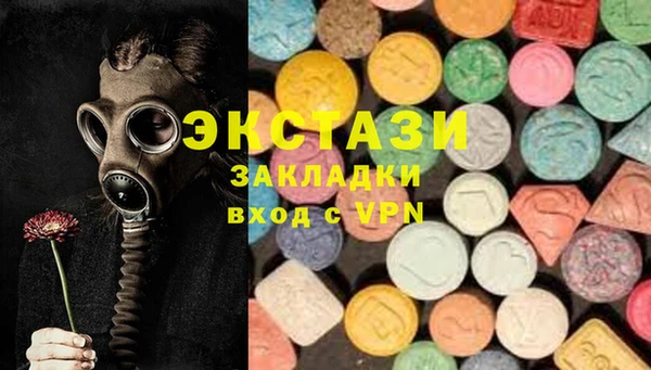 ECSTASY Богданович