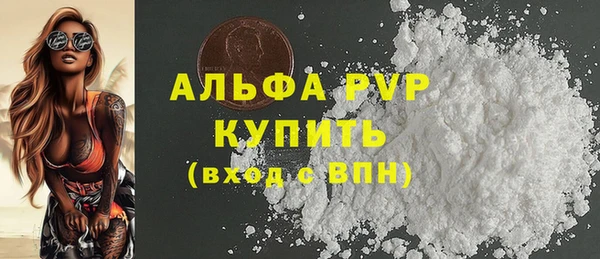 ECSTASY Богданович