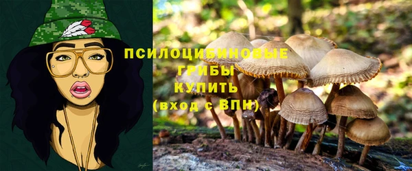 таблы Бородино