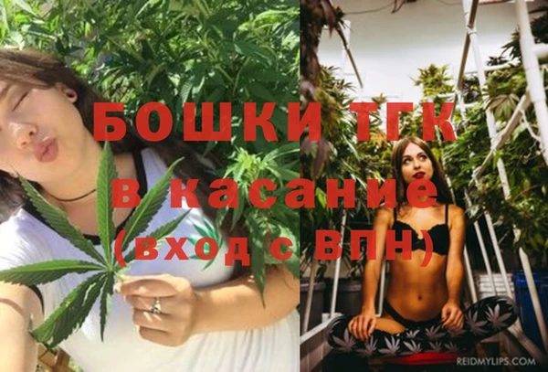 эйфоретик Богородицк