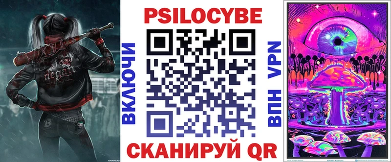 купить   Мурманск  Галлюциногенные грибы Psilocybe 